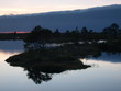 Landscape of Marimetsa bog, Estonia