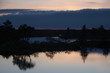Landscape of Marimetsa bog, Estonia