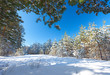 Winter park in snow Winter park in snow