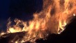 Feuer