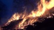 Feuer