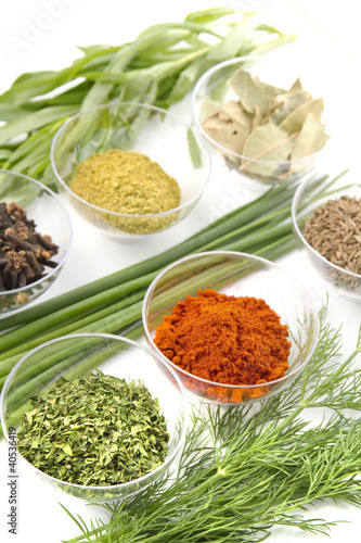 Photo: different spices different spices