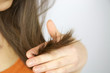 Photo: Split ends hair of brunette female model Split ends hair of brunette female model