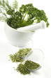 mortar and pestle with fresh spices