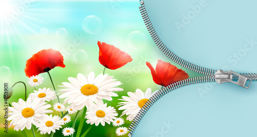 Vector: Nature background with summer flowers and zipper Nature background with summer flowers and zipper