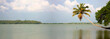 Canals in the  Back Waters in Kerala