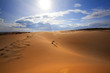 desert