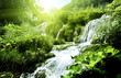 waterfall in deep forest
