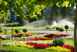 Lawn watering sprinkler