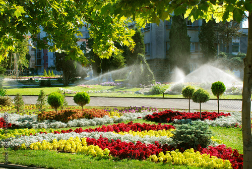 Photo: Lawn watering sprinkler Lawn watering sprinkler