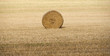 Farm Field