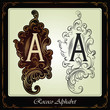 capitals and initials in the rococo style hand-made