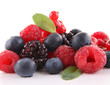 assortment of berries