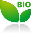 Bio Logo Grün