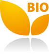 Bio Logo Orange