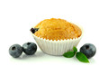 Blaubeermuffin