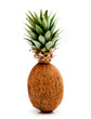 Coconut with leaves from the pineapple