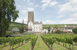Photo: green yineyard scenery in rhine valley green yineyard scenery in rhine valley