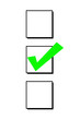 Checkmark in the box, green Checkmark in the box, green