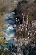 The beautiful of Nature