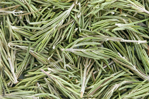 Photo: Rosemary (Rosmarinus officinalis). Rosemary (Rosmarinus officinalis).