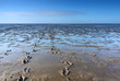Wattenmeer!