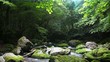 初夏の山の渓流　エフェクトつき