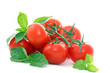Grappe de tomates et basilic frais
