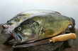 Barschrezept Fischgericht Barschrezept Fischgericht