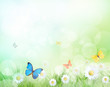 Photo en ligne au meilleur prix Spring meadow with exotic butterflies