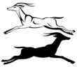 Vector: running gazelle black and white outline running gazelle black and white outline
