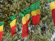 Mali Official Flag Bamako Africa Afrika