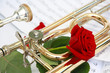 rote Rose und Posaune