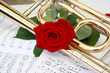 rote Rose und Posaune1