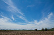 Fields and blue sky Fields and blue sky