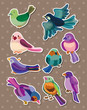 bird stickers