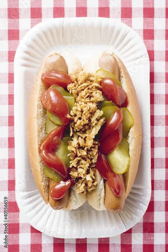 Photo: Two hot dogs on paper plate Two hot dogs on paper plate