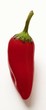 Red chili pepper