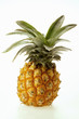 Fresh baby pineapple