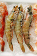 Jumbo prawns on crushed ice