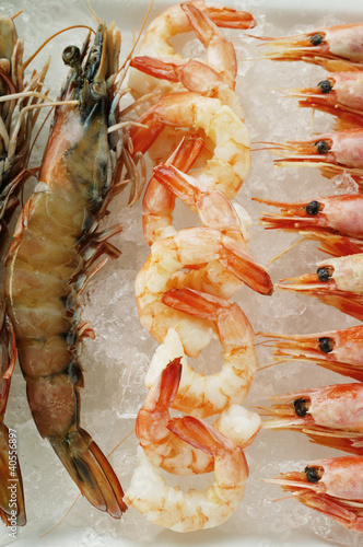 Foto: Various types of shrimps on crushed ice Various types of shrimps on crushed ice