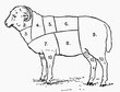 Ram (illustration)