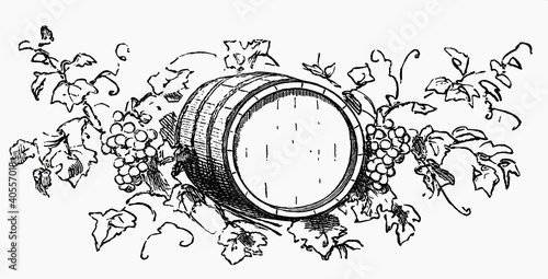 Photo: Wine barrel among grapes and vine leaves (illustration) Wine barrel among grapes and vine leaves (illustration)