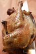 Roast pigeon and knife