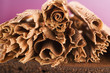 Chocolate curls on chocolate cake