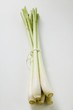 Five stalks of lemon grass, in a bunch
