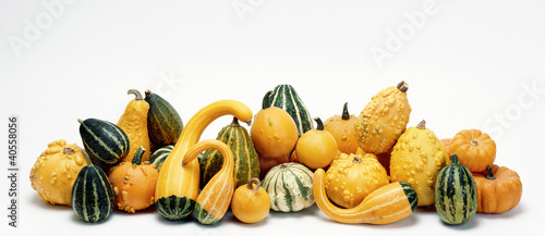 Photo: Assorted Gourds Assorted Gourds