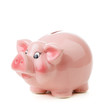 Piggy bank. isolated on white background Piggy bank. isolated on white background