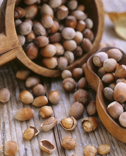 Photo: Hazelnuts, shelled and unshelled Hazelnuts, shelled and unshelled