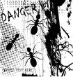 insect poster